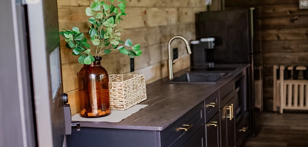 Modern kitchen with dark cabinets, wooden wall, and green plant in amber vase