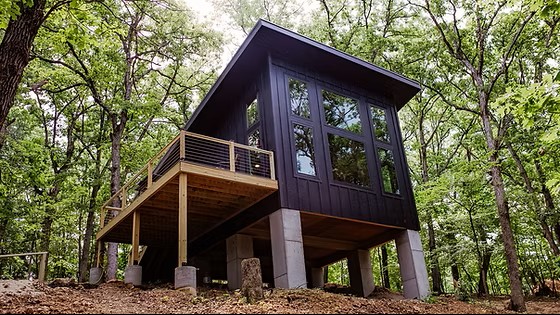 Modern elevated cabin with large windows nestled in a lush green forest